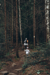 An adult girl and her little traveler daughter go into a dense dark forest in the mountains. Trekking poles in hands and backpacks on shoulders