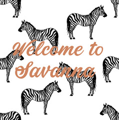 Fototapeta na wymiar zebra savanna safari savage pattern