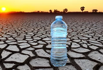 Foto op Plexiglas Mineral water on Drought land. Global drought. Plastic bottle with water on Dry cracked earth. Water crisis and World Climate change. Dried earth in Water crisis in nature. No freshwater in ocean. © MaxSafaniuk