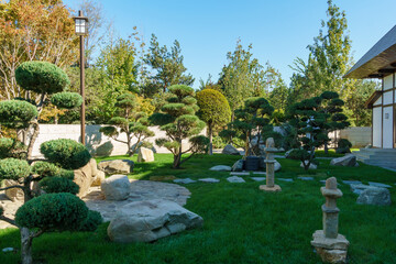 Topiary art in Japanese garden of public landscape park of Krasnodar or Galitsky  park, Russia