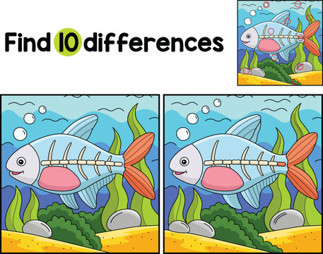 X Ray Fish Animal Find The Differences