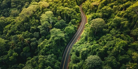 aerial view of windy drive on the forest green road