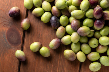 Raccolta di olive fresche mature, cibo biologico italiano 