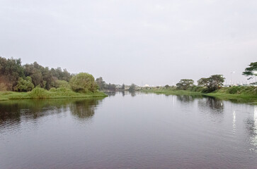 River view with lush green river banks