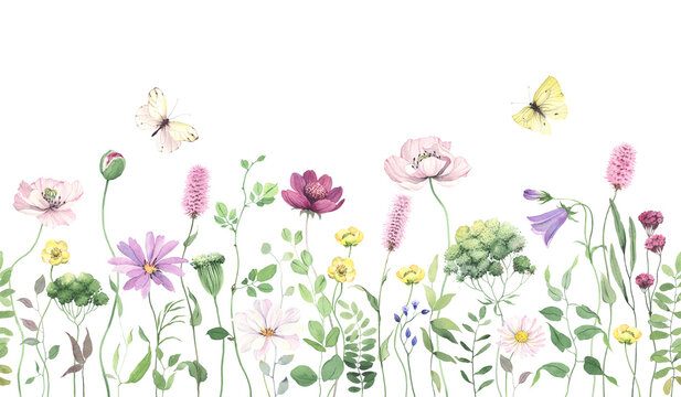 Wildflowers, green wild plants and flying butterflies, seamless pattern with colored flowers, watercolor isolated illustration, floral horizontal border, hand painting summer meadow, nature background