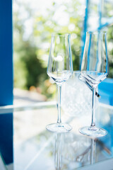Close up of empty champagne glasses on transparent table. Ice cooler and blue door in garden with green trees on background.