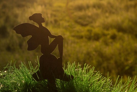 silhouette of a fairy in a field
