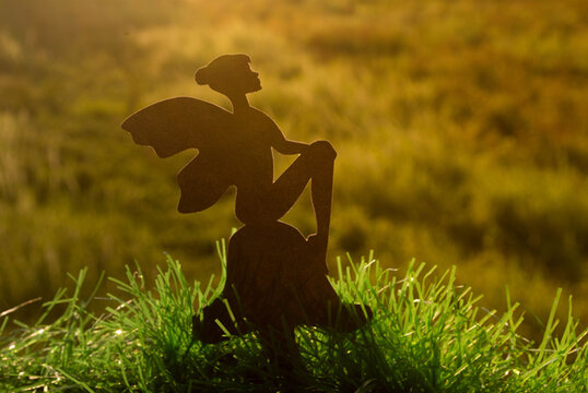 silhouette of a fairy in a field