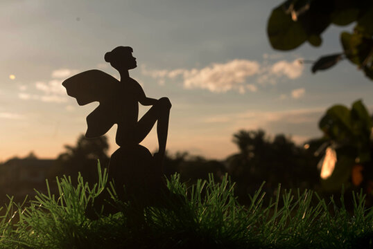 silhouette of a fairy in a field