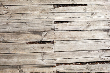 old wooden background, nature texture
