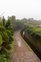 Levada trail on Madeira on a rainy day