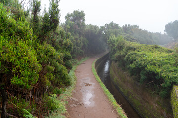 Fototapeta na wymiar Levada trail on Madeira on a rainy day
