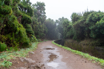 Fototapeta na wymiar Levada trail on Madeira on a rainy day