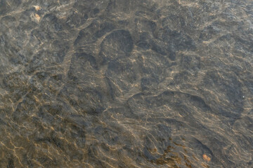 texture of the sand with water