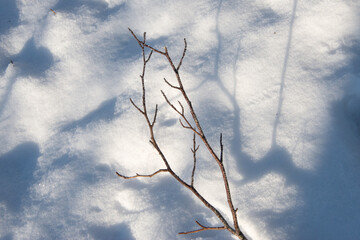 Licht erzeugt Schatten: kleiner Ast wirft einen breiten Schatten auf eine Schneefläche