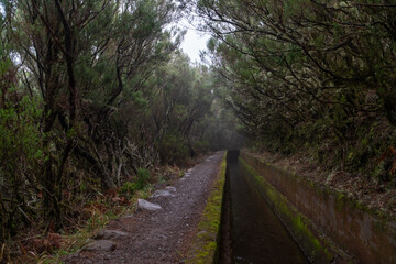Levada on Madeira during a foggy day