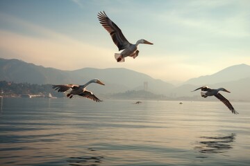 Fototapeta na wymiar A group of birds soaring gracefully together in the sky over a vast body of water., A squadron of pelicans gliding over a peaceful bay, AI Generated