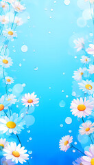 Daisy Flowers Beautiful