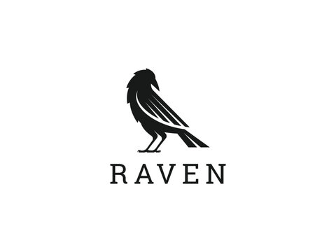 raven logo vector icon illustration, crow logo template