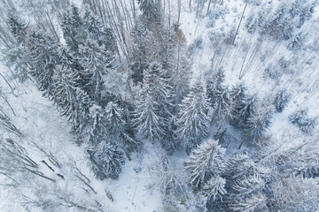 Winter scene. Snow covered mixed forest, Estonian nature, photo from a drone.