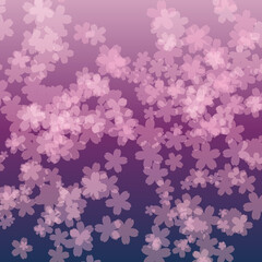 sakura_flower_cherry_blossom_light_background_nightblue
