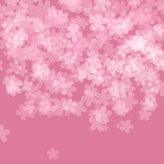 sakura_flower_cherry_blossom_light_background_pink