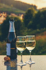 Glasses of wine against the background of mountains. Selective focus.