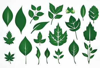 Leaves collection eco, Green leaves flat icon set, nature illustration and backgrounds, v3 - obrazy, fototapety, plakaty