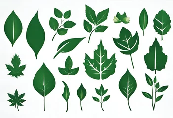 Foto op Plexiglas Leaves collection eco, Green leaves flat icon set, nature illustration and backgrounds, v3 © Produzir