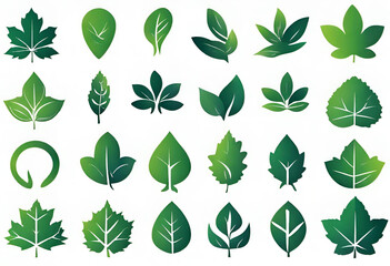 Fototapeta na wymiar Leaves collection eco, Green leaves flat icon set, nature illustration and backgrounds, v2