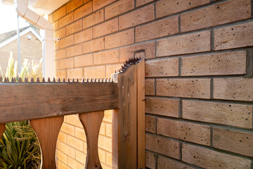Shallow focus of a newly fitted side garden gate in early winter sun. The owner has installed plastic security spikes for a deterrent.