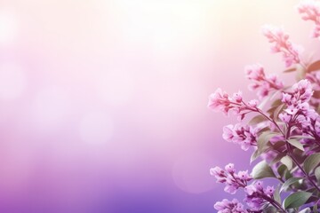  a close up of a bunch of flowers on a purple and pink background with a blurry image of the top part of the flowers in the center of the picture.
