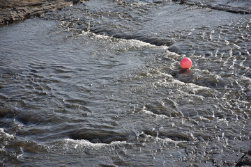 川面を漂う赤いボール