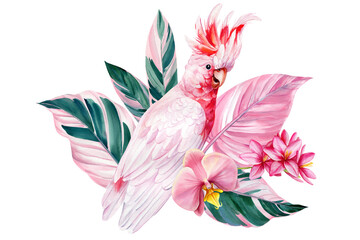 Beautiful pink bird cockatoo, palm leaves, orchid flowers isolated background, watercolor hand-painted botanical clipart