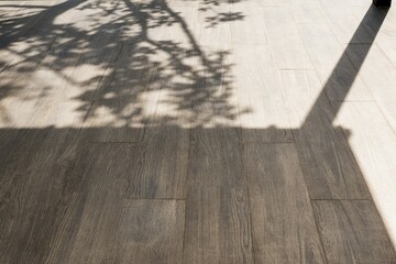 the tree shadow on tile floor