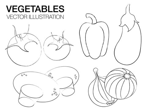 hand drawn vegetables, set of vegetables