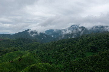 Fototapeta premium The road is similar to the number 3, This road is built on a mountain, past the forest in Nan Province of Thailand.