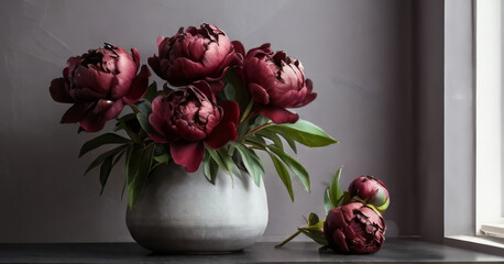 Wine peonies stand in a gray vase on a gray background © smilewalli