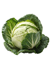 Fototapeta premium CABBAGE ON TRANSPARENT BACKGROUND