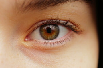 Macro image of a human eye