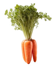 CARROT ISOLATED ON TRANSPARENT WHITE BACKGROUND