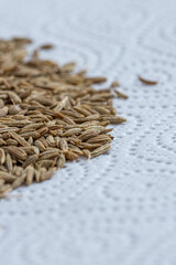 Cumin Jeera spice background. close-up view of zira. Cumin seeds from above. High angle photo of zira jeera cumin spices