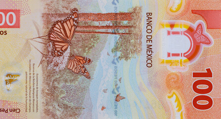 New Mexican money bills currency Mexico 100 pesos banknote close up