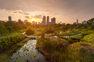 Fototapeta na wymiar Cityscape at sunset in Benchakitti forest park Bangkok 