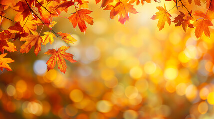 Naklejka na ściany i meble autumn forest leaves background horizontal landscape. landing page, minimalistic, copy space