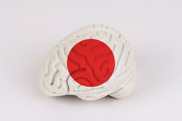 On a white background, a model of the brain with a picture of a flag - Japan
