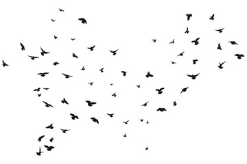 Silhouette sketch of a flock of flying forward birds. Takeoff, flying, flight, flutter, hover, soaring, landing