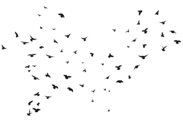 Fotobehang Silhouette sketch of a flock of flying forward birds. Takeoff, flying, flight, flutter, hover, soaring, landing © Mar