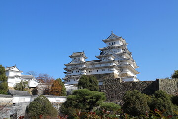 Obraz premium Himeji Castle and clear blue sky viewed from Nishinomaru Square in Himeji, Japan