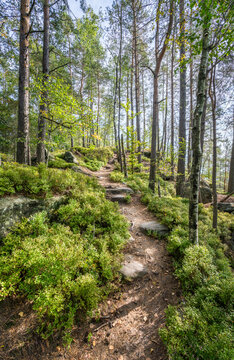 Hiking along the Malerweg hiking trail in Saxon Switzerland, Saxony, Germany